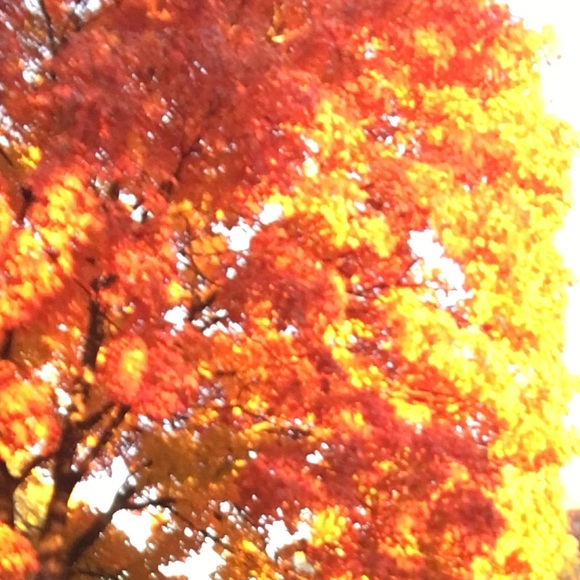 Meet your Posher, Jord - Picture 1 of 1